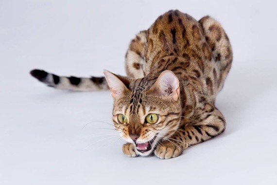 Ma Minette Ferme Un Seul De Ses Yeux Ma Minette Ferme Un Seul De Ses Yeux