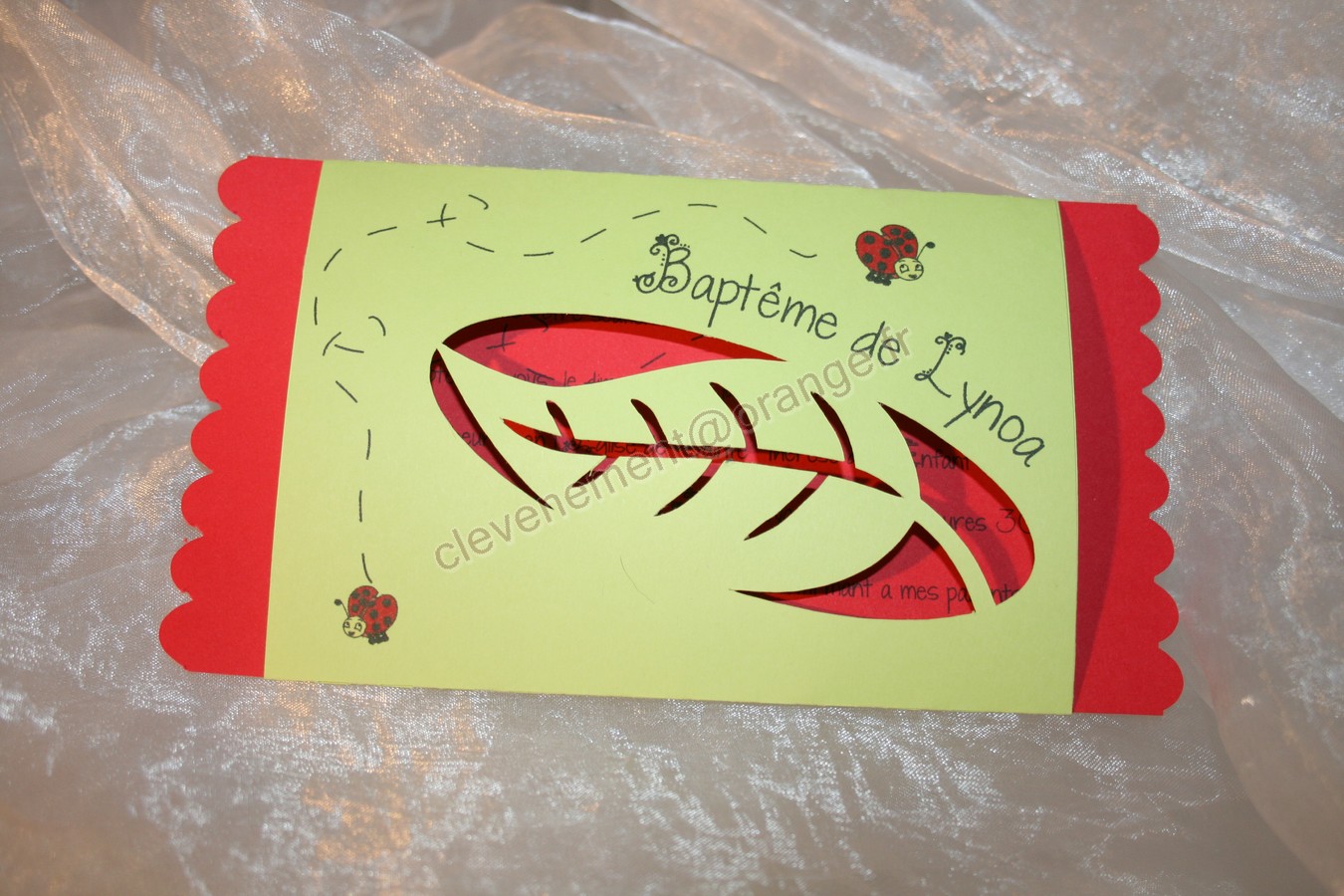 Bapteme Coccinelles Bapteme Forum Famille
