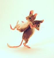 mouse  deux