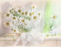 fleurs zz blanches
