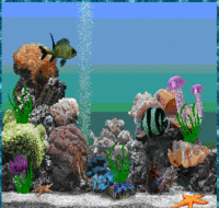aquarium deux