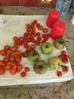 Tomates cerises et petites pommes du verger
