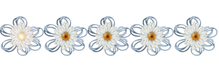 ligne-fleur-blanche