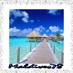avatar maldives78