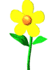 fleurjaun