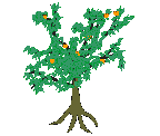 arbre-eclore