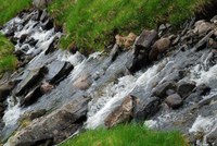 13322629-un-ruisseau-torrentiel-est-en-marche-sur-des-cailloux-ses-rives-envahies-par-la-vegetation-