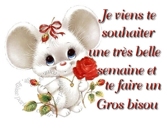 bonne-semaine - " Bonjour " - Mangue_ - Photos - Club Doctissimo