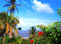 Iles du Salut-Guyane