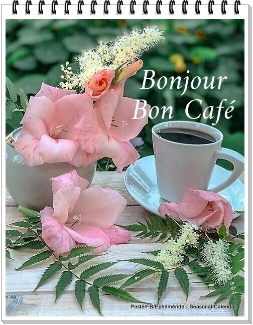 Bonjour