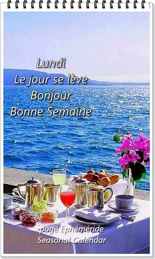 Bonjour