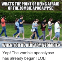 whats-the-point-of-being-afraid-of-the-zombie-apocalypse-12381865