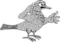 pigeon-dingue-fou