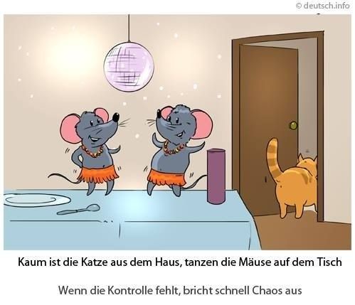 Kaum Ist Die Katze Aus Dem Haus Tanzen Die Mause Auf Dem Tisch