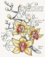 Gedicht : Bloemlezing De Orchidee