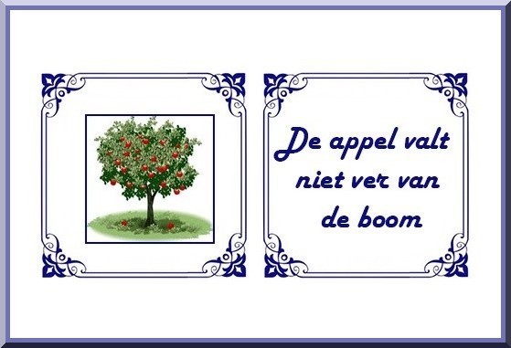 De appel valt niet ver van de boom. - Nederlandse gezegden