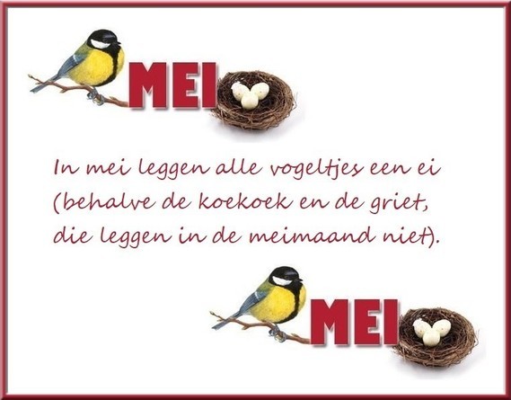 In mei leggen alle volgeltjes een ei, behalve de koekoek