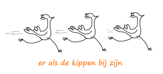 Er als de kippen bij zijn - Nederlandse gezegden, spreekwoorden