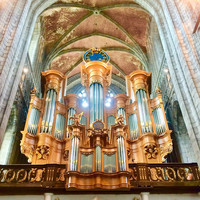 Le grand orgue restauré de la Collégiale Sainte-Waudru