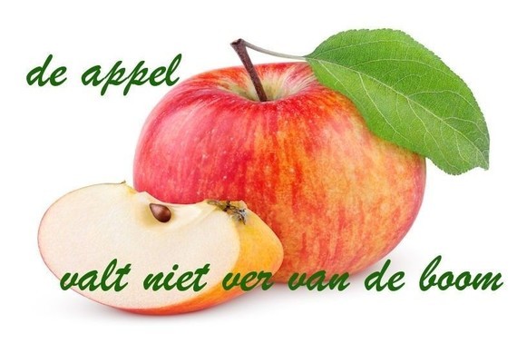 De appel valt niet ver van de boom. - Nederlandse gezegden