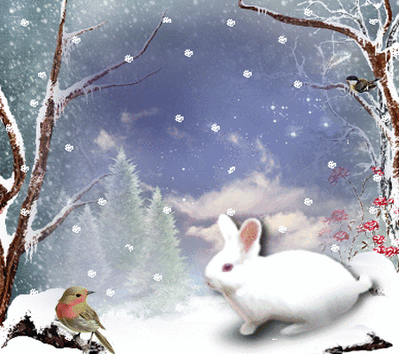 Sneeuw (vogel, konijn)