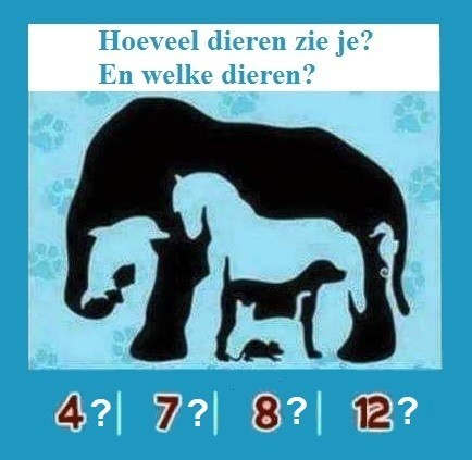 Quiz : Hoevel dieren zie je? En welke dieren?