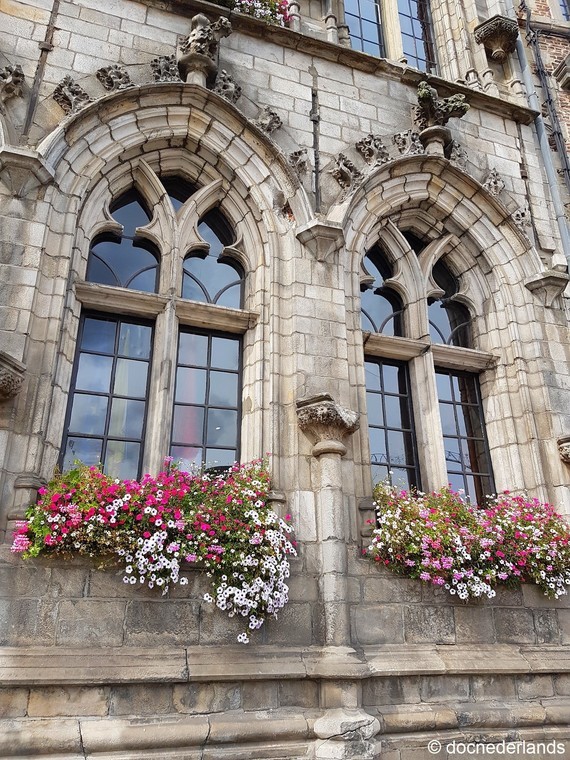 Fenêtres de l'hôtel de ville de Mons