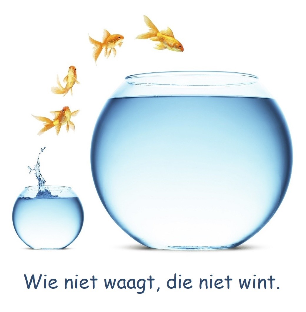 Wie niet waagt, die niet wint. Nederlandse gezegden, spreekwoorden; expressions, proverbes Wie niet waagt, die niet wint. Nederlandse gezegden, spreekwoorden; expressions, proverbes