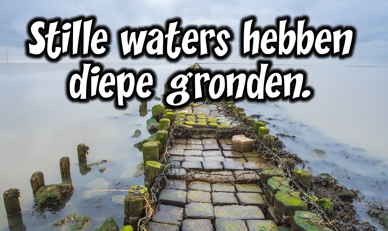 Stille waters hebben diepe gronden - Nederlandse gezegden