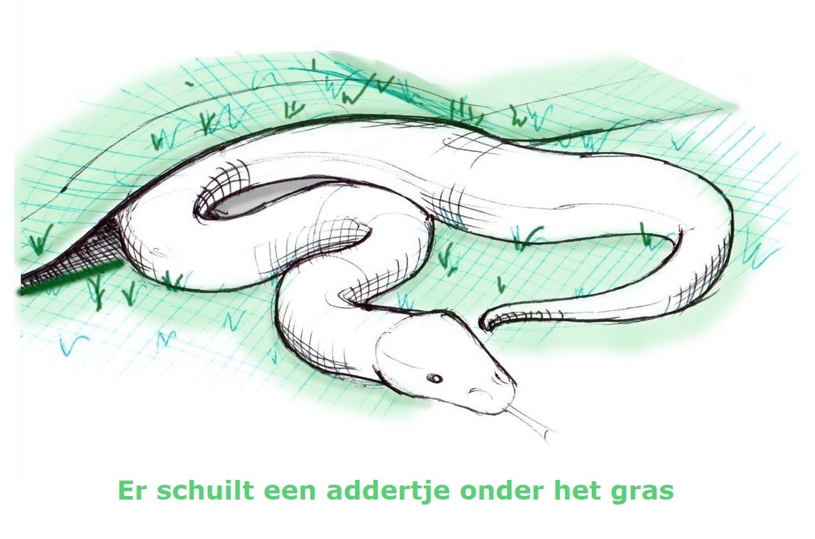 Wie niet waagt, die niet wint. - Nederlandse gezegden, spreekwoorden