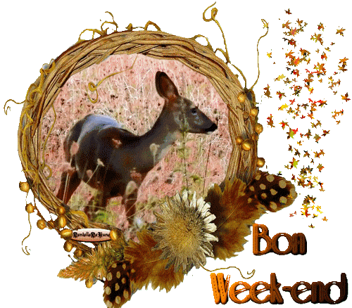 Bon week-end - Images animées / animatieplaatjes / Animationsbilder - profNLDS - Photos - Club Doctissimo