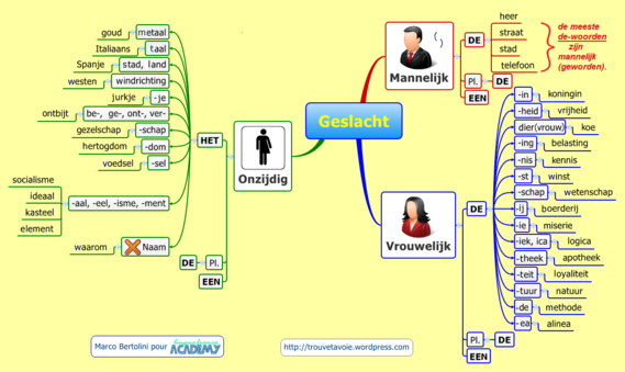 Mindmap Het Geslacht Het Genus Onzijdig Mannelijk