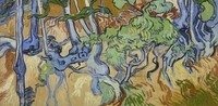 Van Gogh, Boomwortels / Racines d'arbre / Tree roots / Baumwurzeln / Radici d'albero