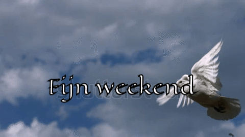 Fijn weekend (vogel)