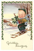 Gelukkig Nieuwjaar (jonge skiër)
