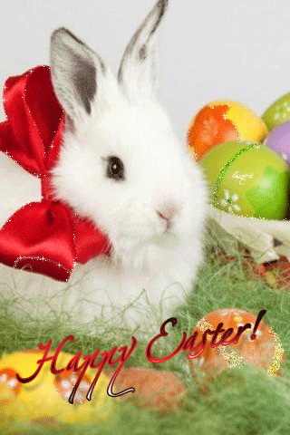 Happy Easter (rabbit)
