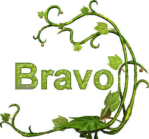 Bravo (plante)