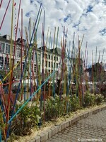 Jardin éphémère (Grand-Place de Mons) (6) (juillet-août 2020)