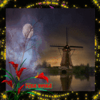 Fijne avond (windmolen en bloemen)