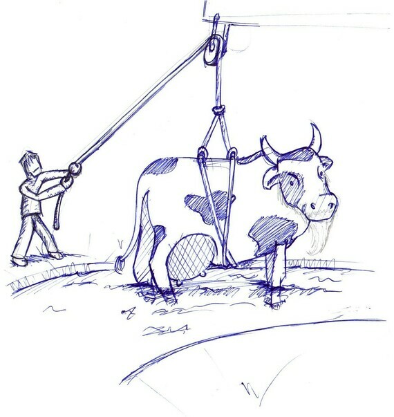 Oude koeien uit de sloot halen (tekening)