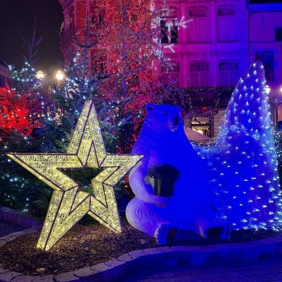 Noël (décembre 2020) - Mons, Belgique, jardins d'hiver