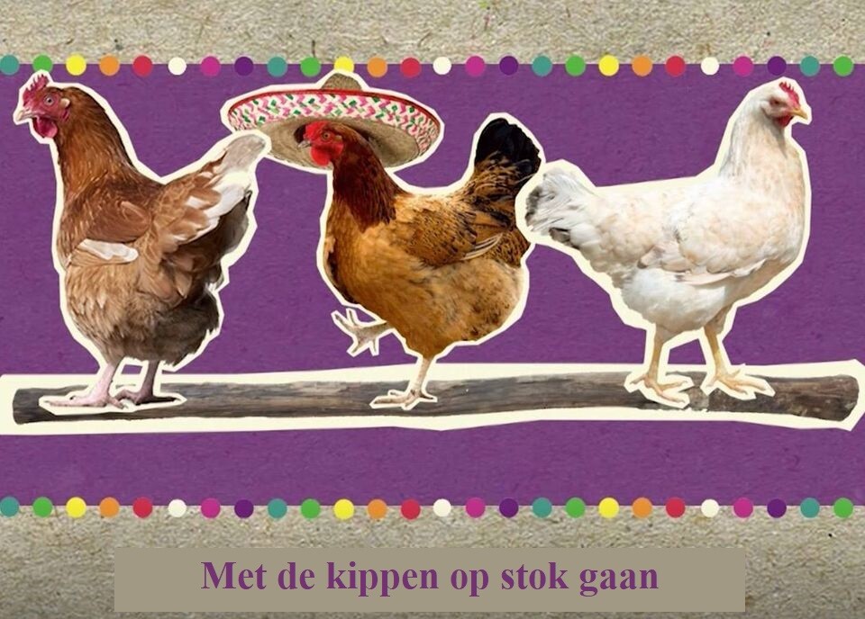Met De Kippen Op Stok