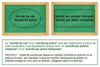 Suicide by cop [anglicisme] / Suicide par policier interposé
