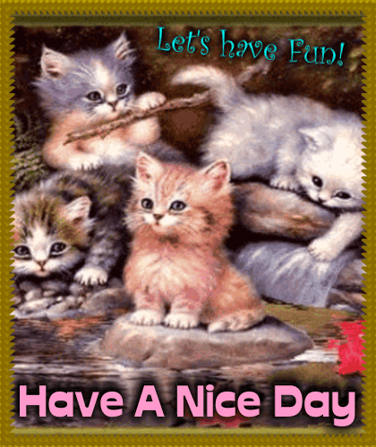 Have a nice day- Let's have fun- (cats, GIF, animation, image animée)
