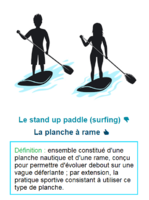 Le stand up paddle (surfing) [anglicisme] / La planche à rame