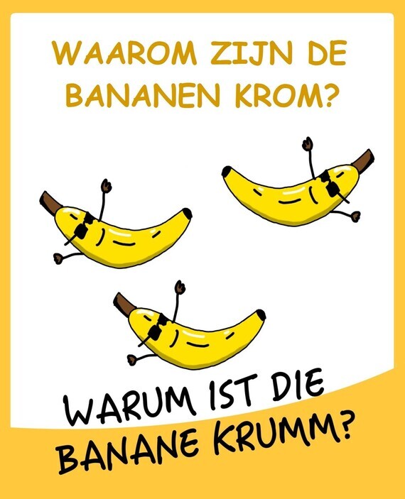 Waarom zijn de bananen krom ?