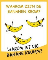 Waarom zijn de bananen krom ?