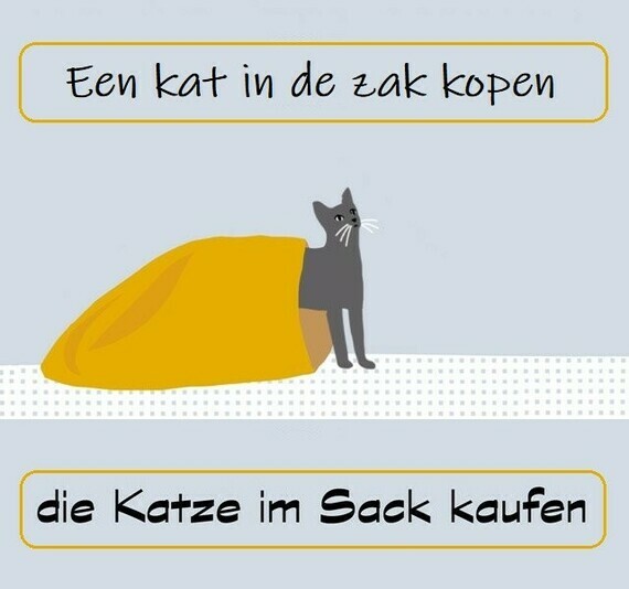 Een kat in de zak kopen (Nederlands-Duits)
