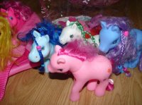 Gros lots poney + accessoires Neuf