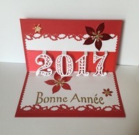 carte-de-voeux-kirigami-annee2017_6E50